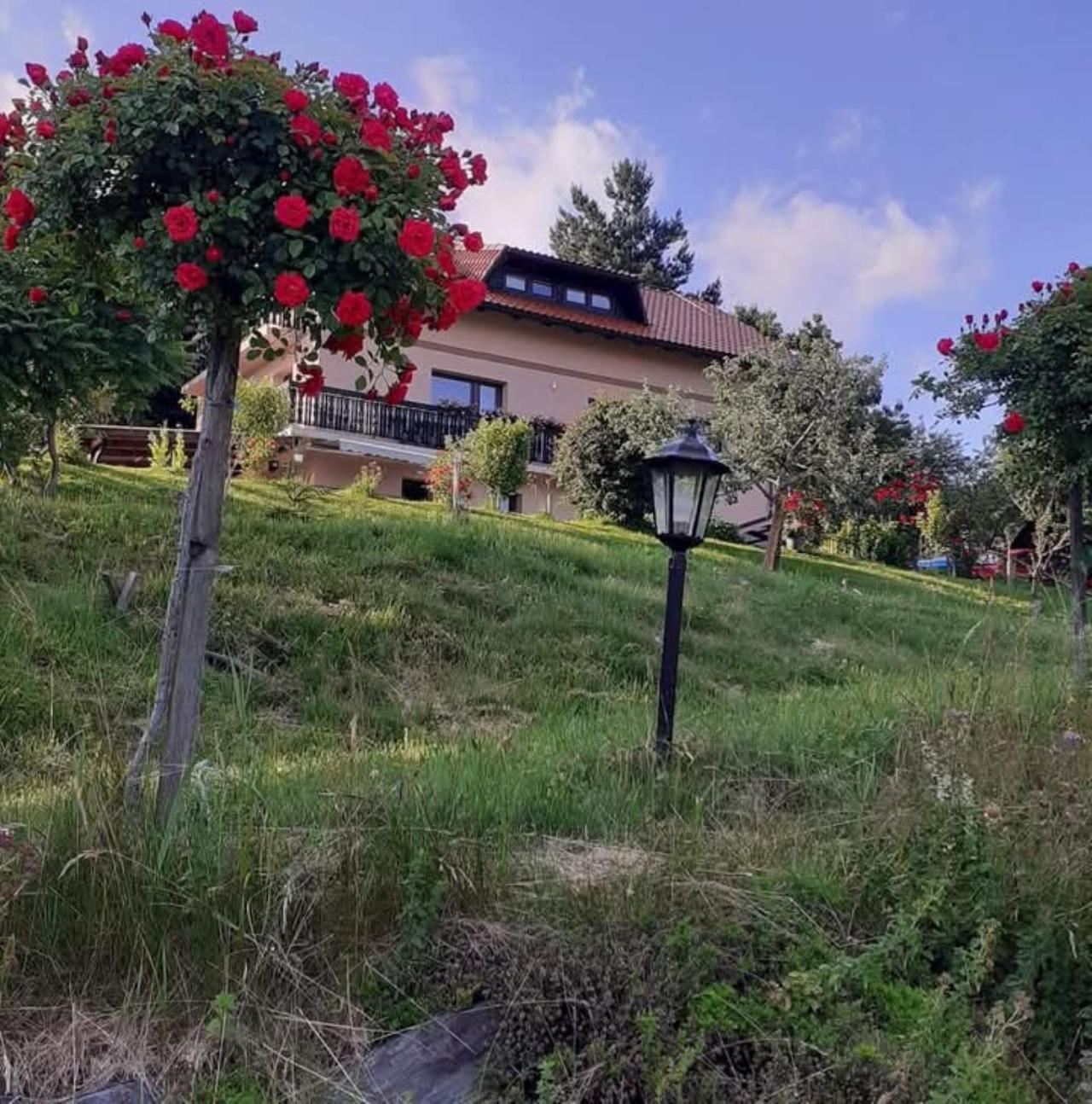 Apartment Panorama ซเร็ตเช ภายนอก รูปภาพ
